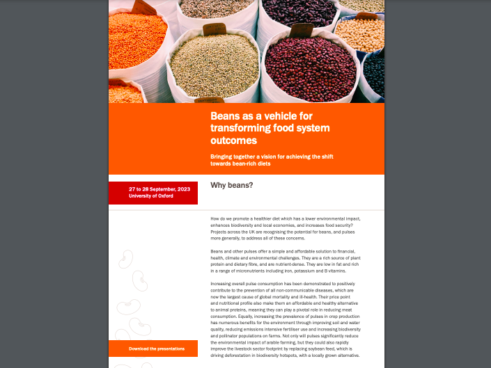 Beans as a vehicle for transforming food system outcomes