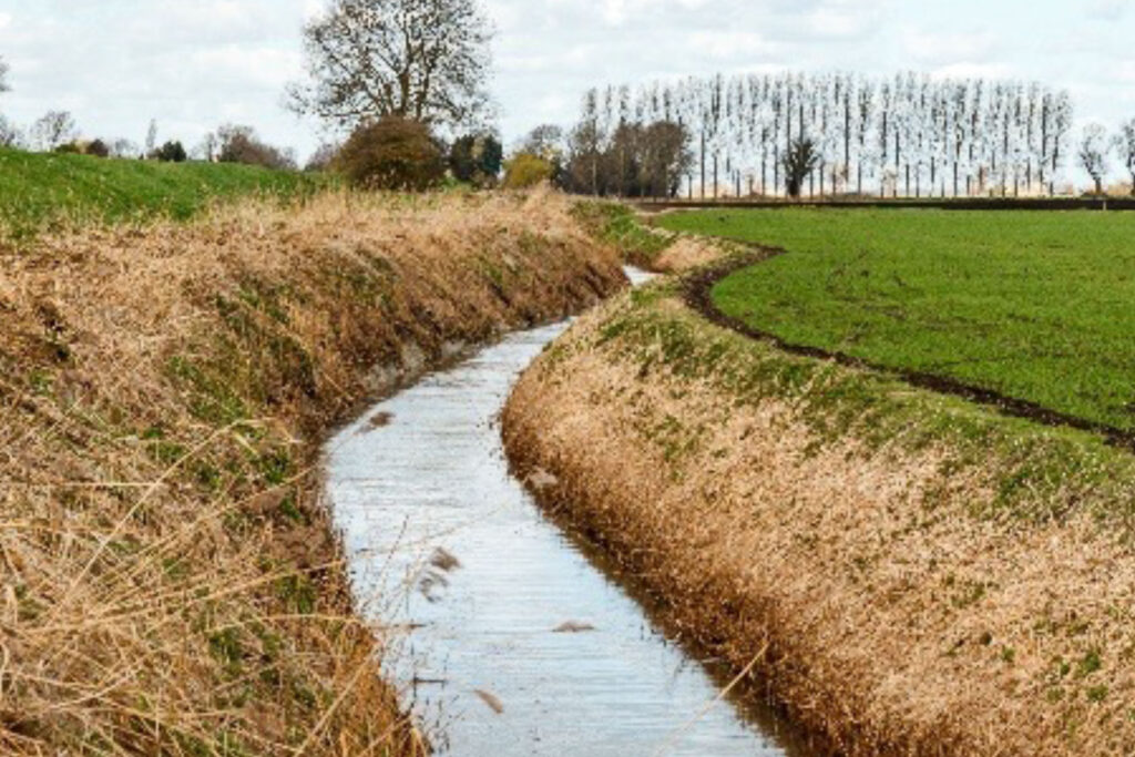 Image of a watercourse running through peatland