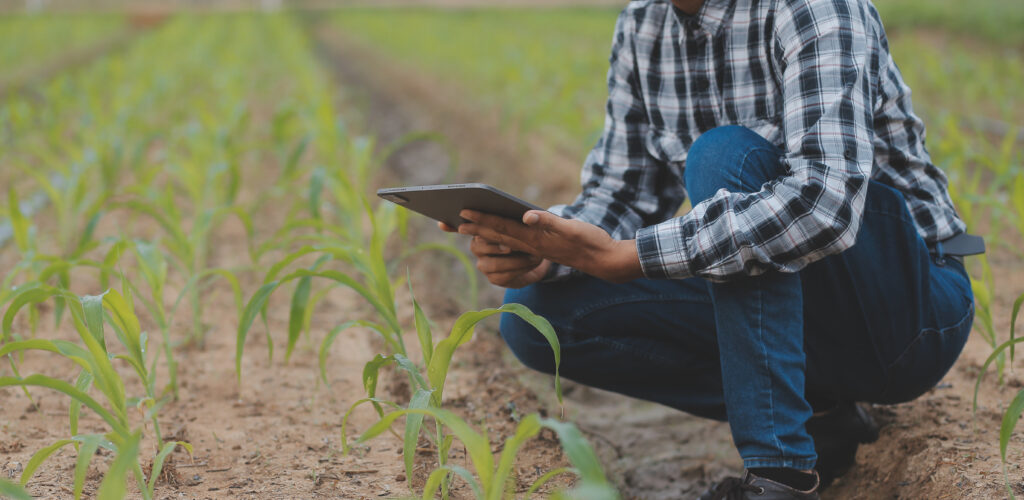 A person in a checked shirt, squatting in a field while checking notes on a table computer.