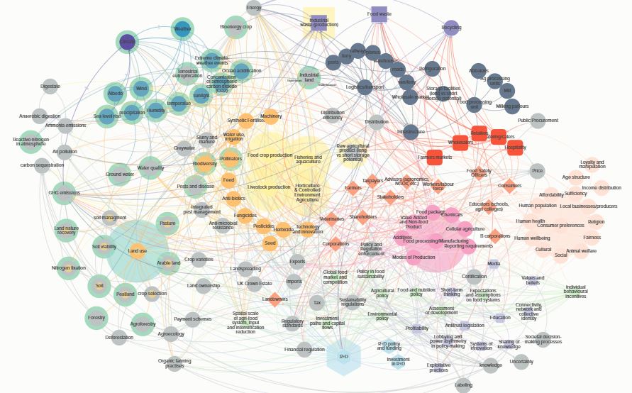 Conceptual model of the agri-food system