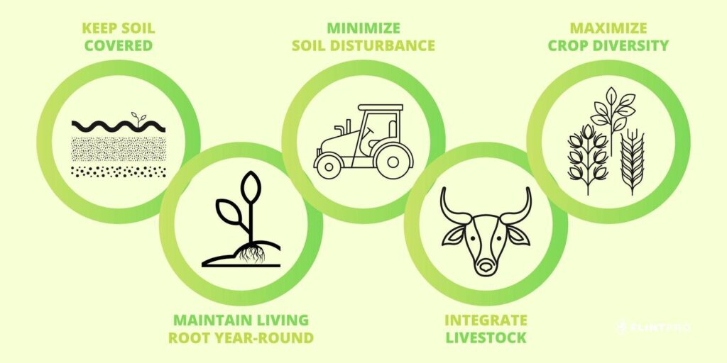 Diagram showing the five principles of regenerative agriculture - keep soil covered, maintain living roots year round, minimise soil disturbance, integrate livestock, and maximise crop diversity