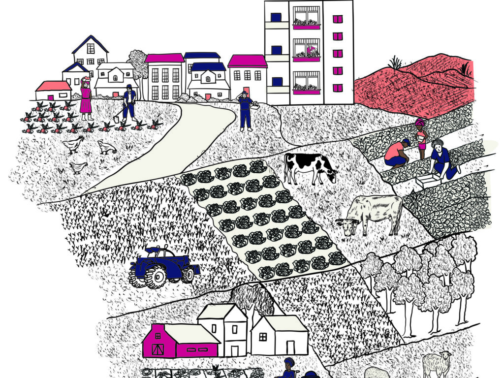 Image shows illustration of scenario c from scenarios report featuring a self sufficient world, with fields of crops and livestock tended by people on a small scale and housing located nearby.