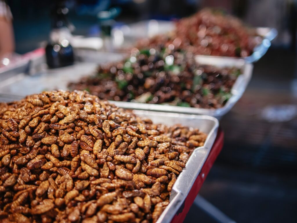 Fried insects at a street food stand in Thailand