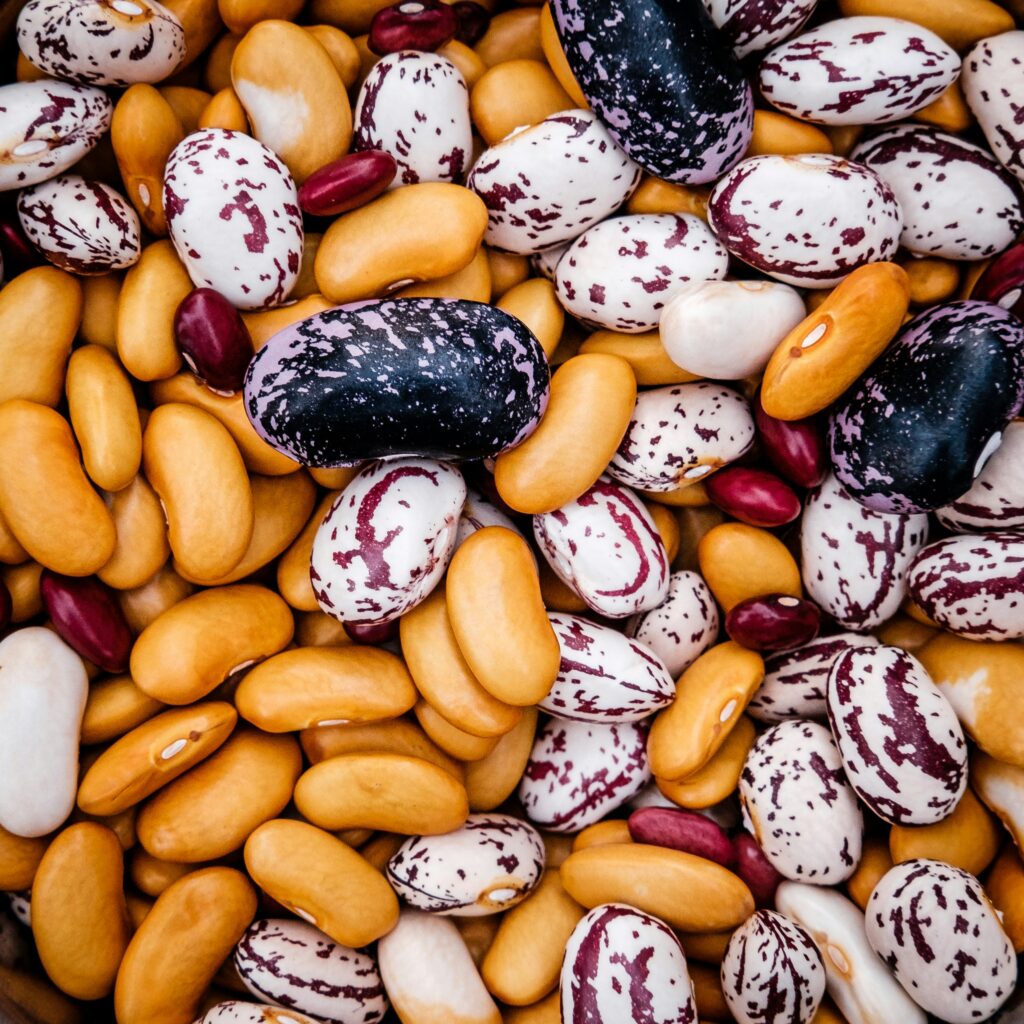 A mix of bean varieties