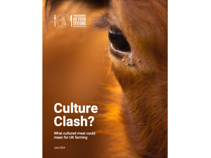 TUFS: Cultuture clash? What cultured meat could mean for UK farming