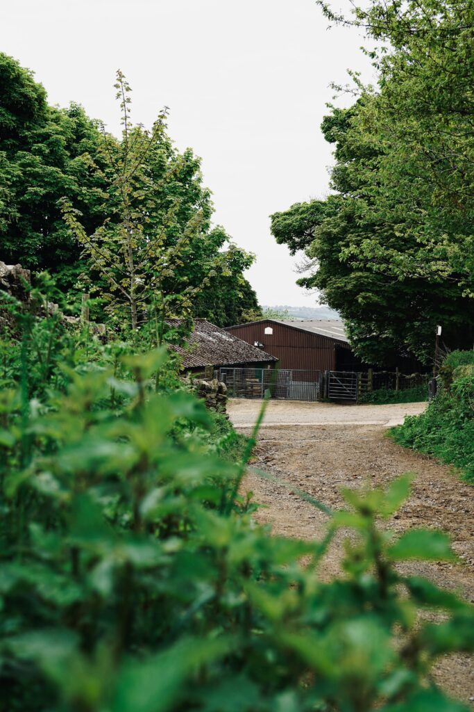 image shows a wooden farm building, with trees on either side