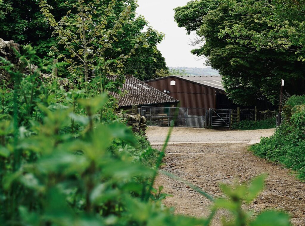 image shows a wooden farm building, with trees on either side