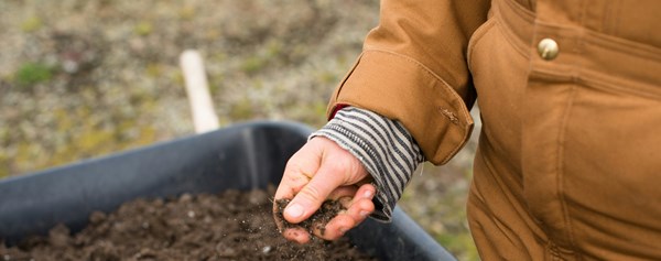 Hand feeling compost