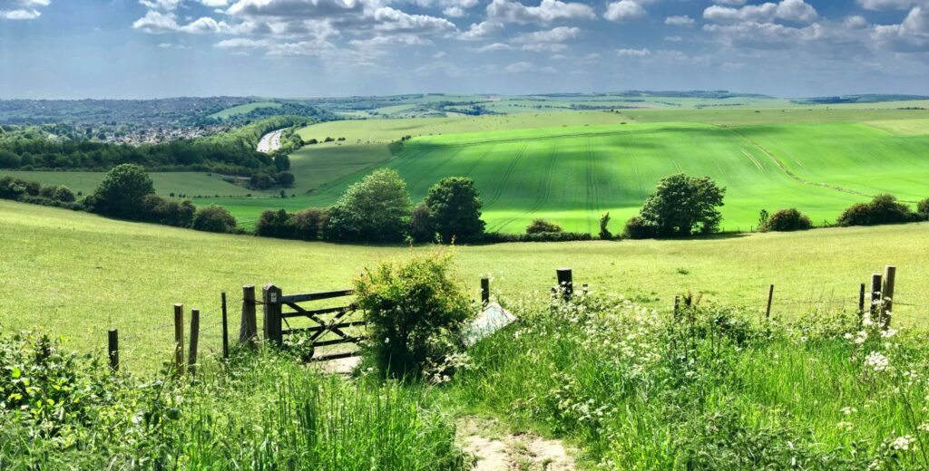 countryside view with fields and a gate